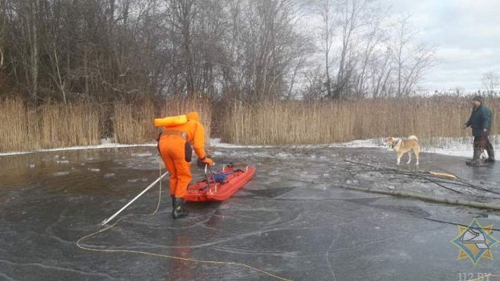 В Городокском районе лось провалился под лёд: спасатели пришли на помощь