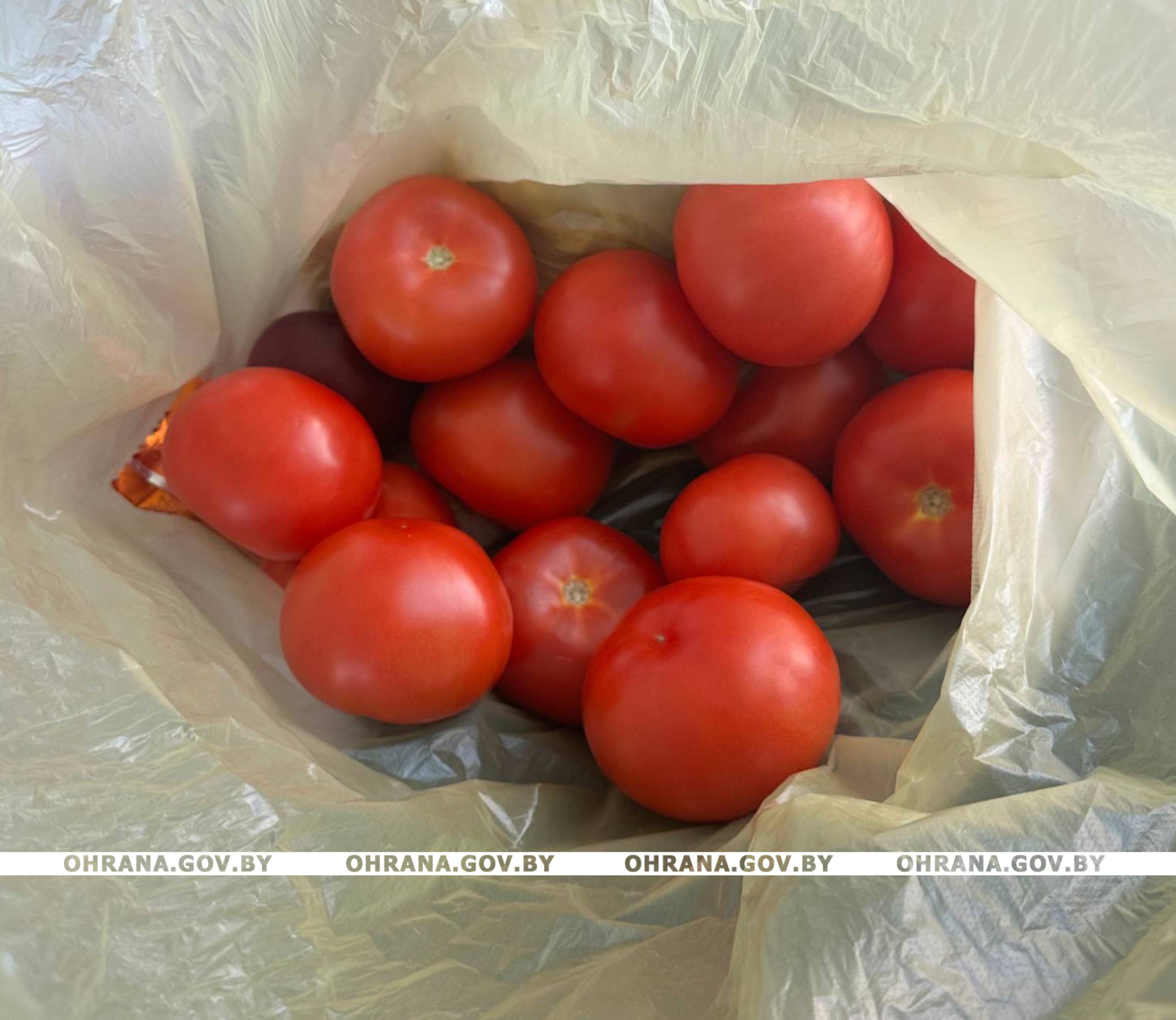 продукты