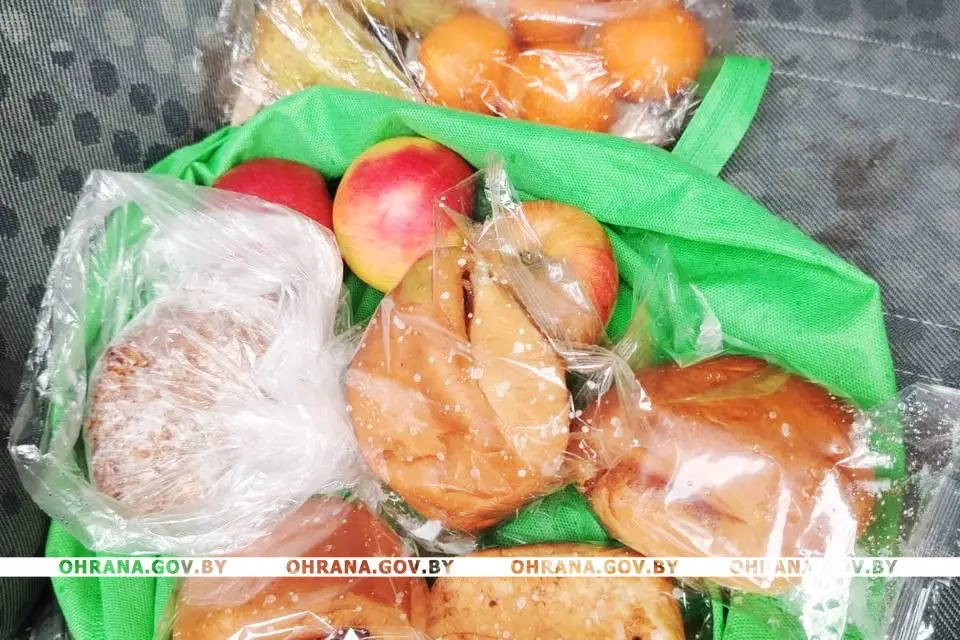 продукты