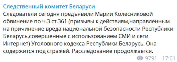 СК: Колесниковой предъявлено обвинение в публичных призывах к захвату власти
