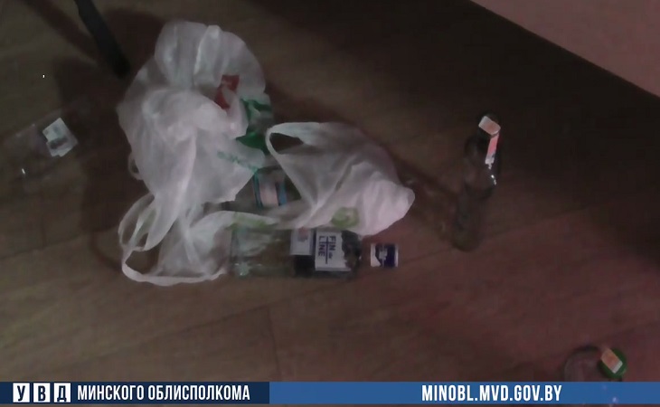 МВД показало на видео, чем занимались участники «бчб-вечеринки» под Смолевичами