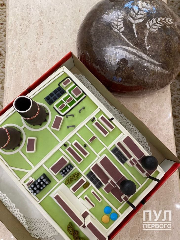 Чиновники скреативили и подарили Лукашенко торт в виде АЭС