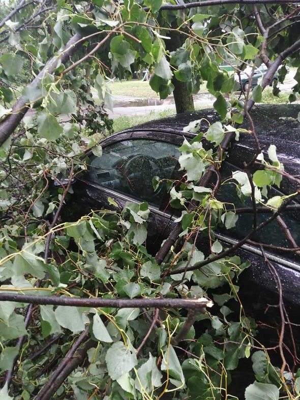 автомобиль