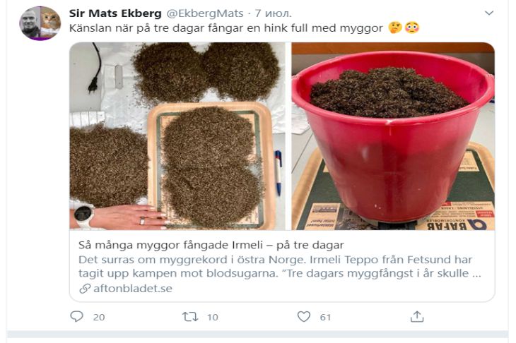 В Норвегии женщина наловила ведро комаров. Осталось придумать, что делать с добычей