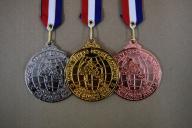 Белорусские самбисты завоевали 11 медалей на чемпионате мира в Южной Корее