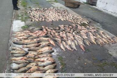 Житель Солигорска украл рыбу в рыбхозе: теперь придется заплатить солидный штраф 