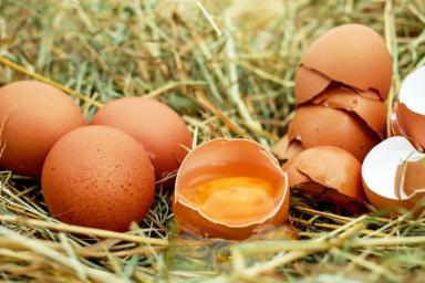 Медики установили еще одно полезное свойство куриных яиц