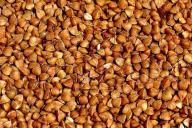 Минсельхозпрод Беларуси не ожидает критической ситуации из-за неурожая гречки в России