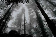 33 монеты по 5 копеек. Под Брестом происходят странные вещи