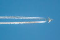 Брошенный в салоне самолета ботинок и клочья волос озадачили пассажиров