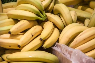 В бананах обнаружены опасные для человека личинки многоядной мухи-горбатки