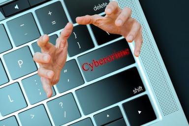 МВД: Количество киберпреступлений будет расти
