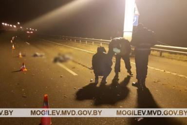 Задержан водитель, который сбил насмерть пешехода в Бобруйском районе и скрылся