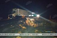 В Мстиславском районе легковушка протаранила гужевую повозку и фуру