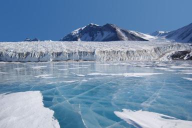 Под льдом Антарктиды откопали такое, что не верится глазам