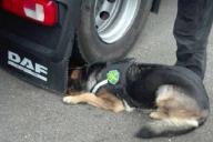 В Каменном Логе под фурой обнаружили наркотики