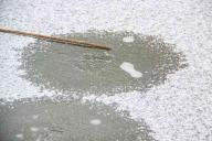 В Беларуси на реках начал образовываться лед