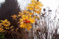 Погода на 21 ноября 2019 года по Беларуси