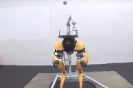 робот Cassie, чеканка мяча