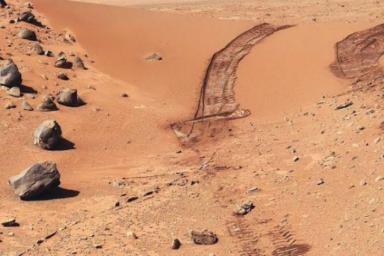 Американский ученый обнаружил на фото с Марса насекомых и змей