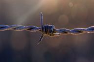 Мужчина признался в преступлениях, которых не совершал, чтобы попасть в тюрьму. Причина удивительна