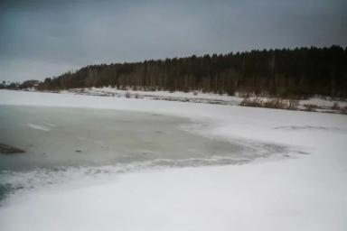 Под Гродно участковый спас лебедей, застрявших во льду