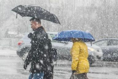 Мокрый снег и дождь каждый день: погода с 9 по 15 декабря 2019 года 