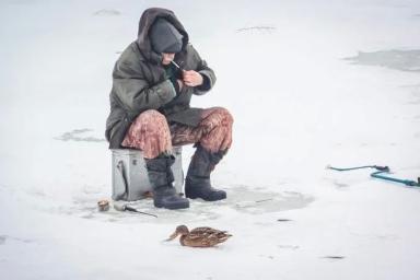 В Беларуси начинается запрет на лов налима обыкновенного: какой штраф грозит нарушителям