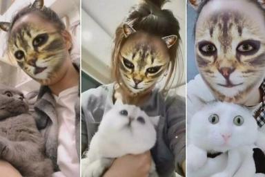 Кошачьи фильтры из соцсетей показали кошкам: их реакция бесценна
