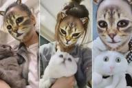 Кошачьи фильтры из соцсетей показали кошкам: их реакция бесценна