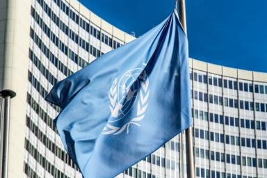 Белорусы в этом году более 300 раз жаловались в ООН