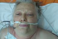 В Слониме милиция устанавливает личность женщины, которую нашли в лесу