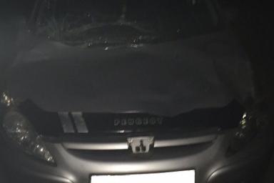 В Ляховичском районе водитель сбил лося и скрылся с места ДТП
