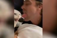 Парень решил лизнуть своего кота в ответ. Реакция питомца бесценна