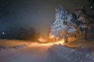 «Все поняли, что что-то не так»: стало известно, что произошло с автобусом, в котором ехали фанаты Макса Коржа