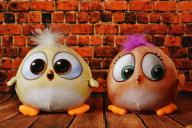 птички, плюшевые игрушки 