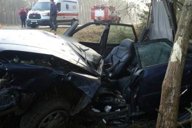 В Брестском районе «Ауди» столкнулось с деревом: водитель госпитализирован