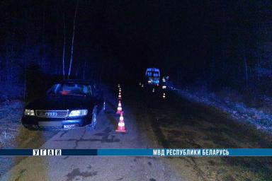 В Жлобинском районе пешехода сбили две иномарки – мужчина погиб