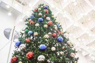 В Минске планируют после Нового года централизованный сбор елей для утилизации