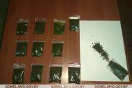 У мозырянина нашли и изъяли более 330 грамм насвая