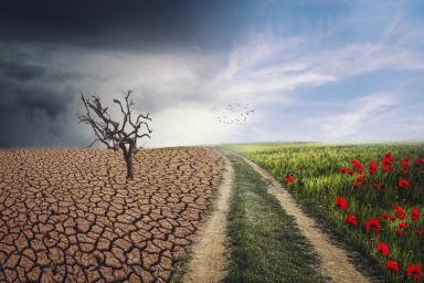 Индекс защиты климата: на какой позиции оказалась Беларусь