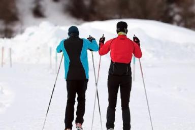 Шведские лыжницы высмеяли массово забеременевших соперниц из России