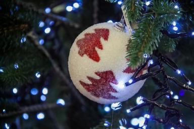 «Дед Мороз спускался на альпинистском снаряжении»: в Могилеве дали старт новогодним праздникам