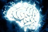 головной мозг