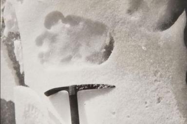 В США завершилась экспедиция по поиску «снежного» человека