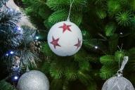 «Их нужно мыть в душе»: стало известно, как не принести домой вместе с елкой клещей