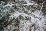 Какой погоды ожидать в Новогоднюю ночь и в первые числа января