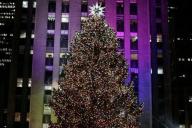 Звезда массой около 450 кг, 3 млн кристаллов Swarovski. В Нью-Йорке зажглась главная елка США