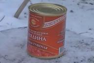 Пухлый кот и белорусская тушёнка: забавное видео набирает популярность в Сети 