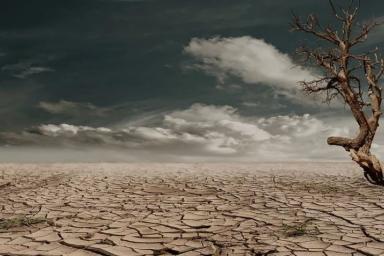 пустыня, засуха, глобальное потепление